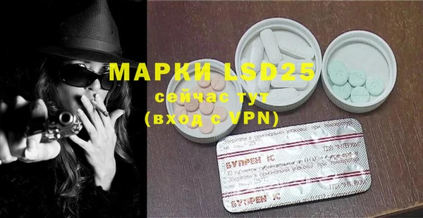 прущие грибы Карталы